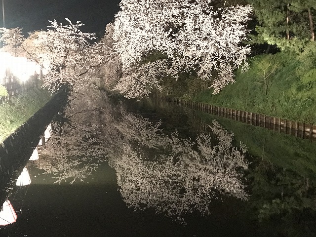弘前公園　桜　中古車　ＡＭＤ
