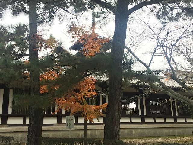 2015-11-13 15.03.31 HDR.jpg
